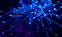 如何确保审计过程的透明性和可追溯性？