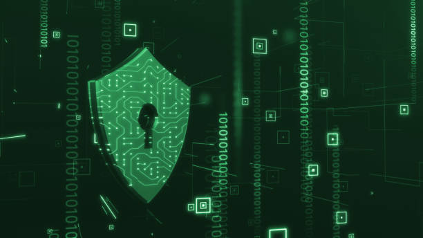 在进行代码审计时，审计员应该关注哪些代码规范？