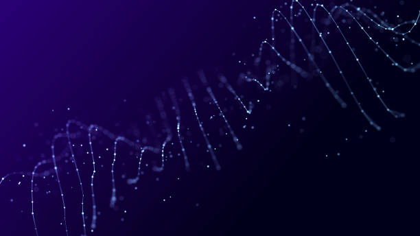 如何确保我的交易信息不会被泄露？