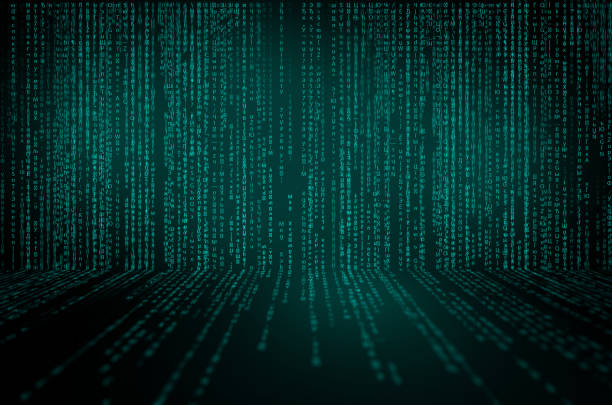 使用多链钱包时，如何确保交易数据的隐私性？