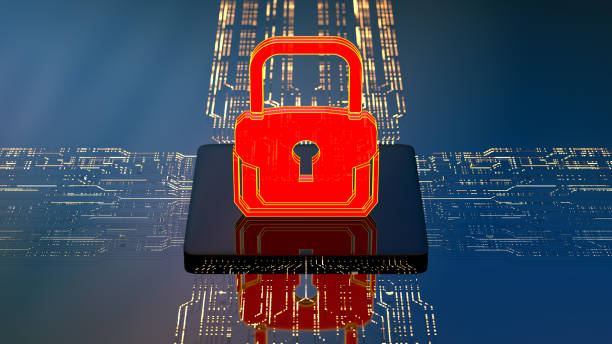 社区成员在共识漏洞检测中可以发挥什么样的积极作用？