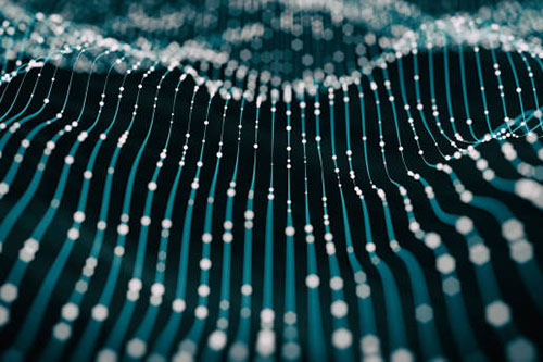 监管机构在区块链审计中扮演什么角色？