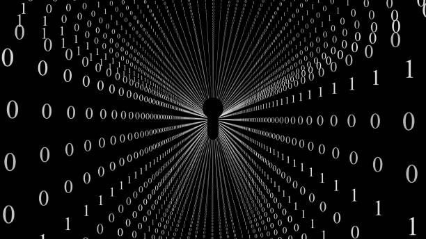 参与数字资产市场的主要主体有哪些？