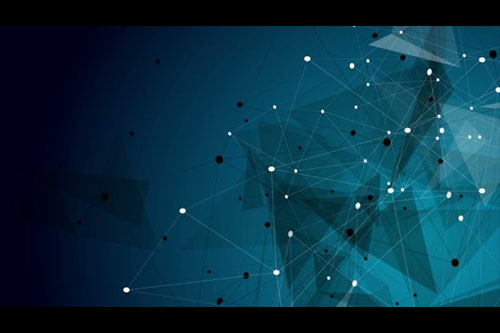 如何评估一个审计公司的信誉和能力？